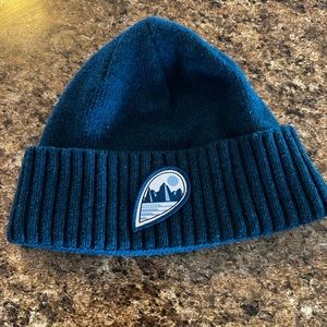 Patagonia Brodeo Beanie